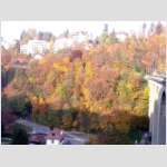 RIMG0385.JPG