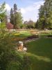 23_Tulipe_Morges.jpg