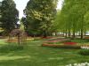 24_Tulipe_Morges.jpg