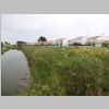 001_Noirmoutier.jpg