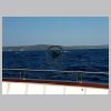 08_Bateau.jpg