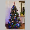 13_06_Sapin.jpg
