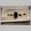 14_94_Plie_en_papillotte.jpg