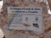 008_Calanques.jpg