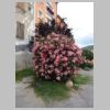022_Manosque.jpg