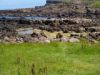 021_Giant_Causeway.jpg