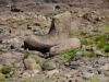 033_Giant_Causeway.jpg