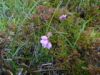 015_Slieve_League.jpg