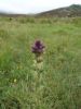016_Slieve_League.jpg