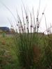 017_Slieve_League.jpg