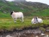 019_Slieve_League.jpg
