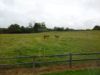046_Castlebar.jpg