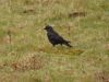 031_Inisheer.jpg