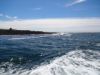 095_Doolin.jpg