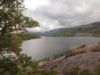 055_Muckross_Lake.jpg