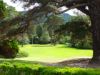 073_Muckross_Gardens.jpg