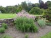 078_Muckross_Gardens.jpg