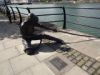 095_Dublin.jpg