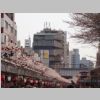 004_Tokyo_Asakusa.jpg