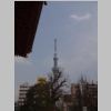 008_Tokyo_Asakusa.jpg