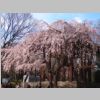 063_Tokyo_Zojo-ji.jpg