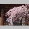 067_Tokyo_Zojo-ji.jpg