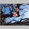 036_Kanazawa.jpg