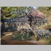 060_Kanazawa_Kenrokuen.jpg
