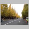 001_Meiji_Jingu_Gaien.jpg