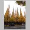 002_Meiji_Jingu_Gaien.jpg