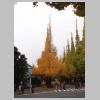 003_Meiji_Jingu_Gaien.jpg