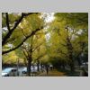004_Meiji_Jingu_Gaien.jpg