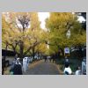 007_Meiji_Jingu_Gaien.jpg