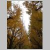 008_Meiji_Jingu_Gaien.jpg