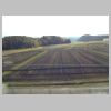 005_Shinkansen.jpg
