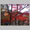 007_Korakuen.jpg