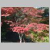 025_Korakuen.jpg