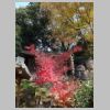 043_Korakuen.jpg
