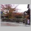 026_Shirakawa-minami_Dori.jpg