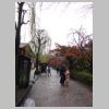 027_Shirakawa-minami_Dori.jpg