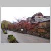 028_Shirakawa-minami_Dori.jpg