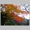 082_Shoren-in.jpg