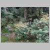 083_Shoren-in.jpg