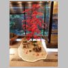 001_Daiwa_Roynet_Karasuma_hotel.jpg