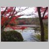 031_Ryoan-ji.jpg