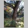 097_Ginkaku-ji.jpg
