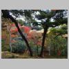 104_Ginkaku-ji.jpg