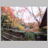 051_Gio-ji.jpg