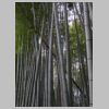058_Gio-ji.jpg
