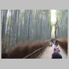 077_Bamboo.jpg